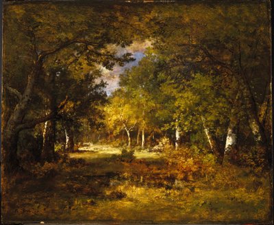 Escena del bosque, c.1844-60 de Narcisse Virgile Diaz de la Peña